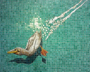 Swimming Pool Gannet Feature